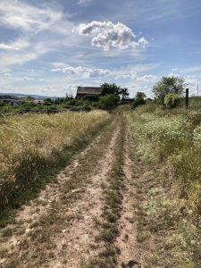 Feldweg zum Garten