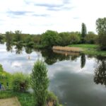 Blick über die Saale, Haus zu verkaufen